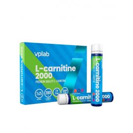 L-Carnitine 2000